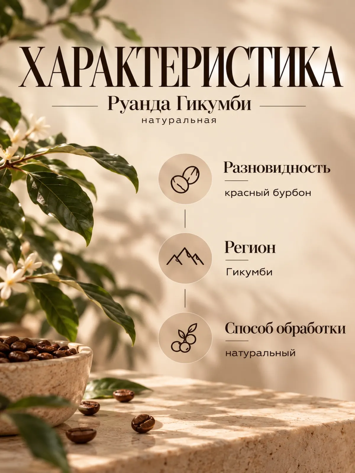 Кофе в зернах Сварщица Екатерина (The Welder Catherine) | Руанда Гикумби натуральная — фото 2